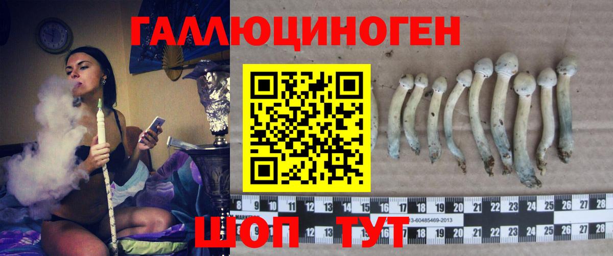 Псилоцибиновые грибы Magic Shrooms Сатка